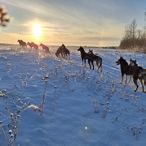 sunset-in-tartu-country